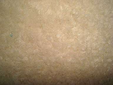 Single Fleece Lamb Hair Imitation Plush Fabric